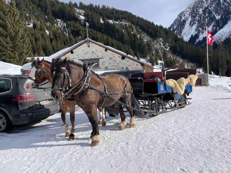 Kleines Bijou In Klosters Platz Ngoại thất bức ảnh